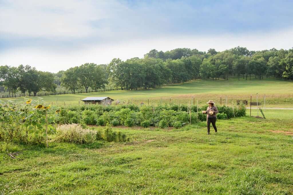 A person walks through a lush, green field with a garden and distant trees in Williamson County, Tennessee.