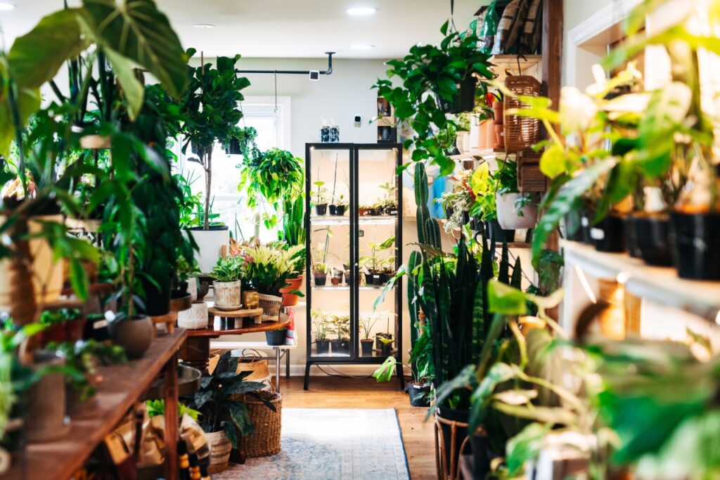 A lush indoor garden filled with a variety of potted plants and hanging greenery in Williamson County, Tennessee.