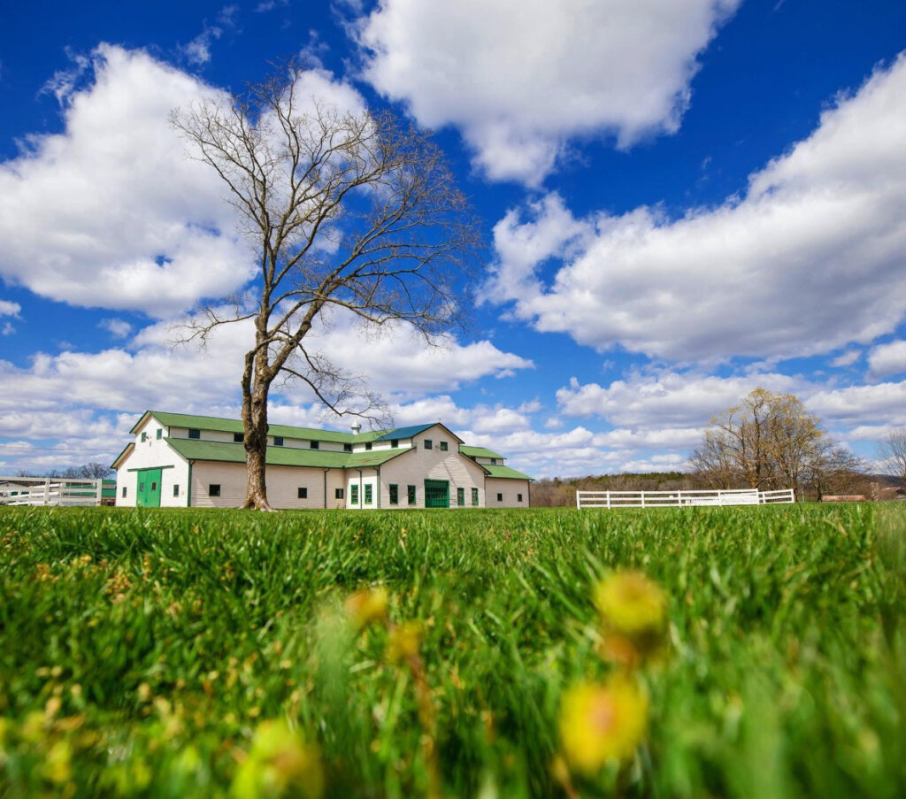 A large white barn with a green roof stands in a lush green field under a blue sky in Williamson County, Tennessee.