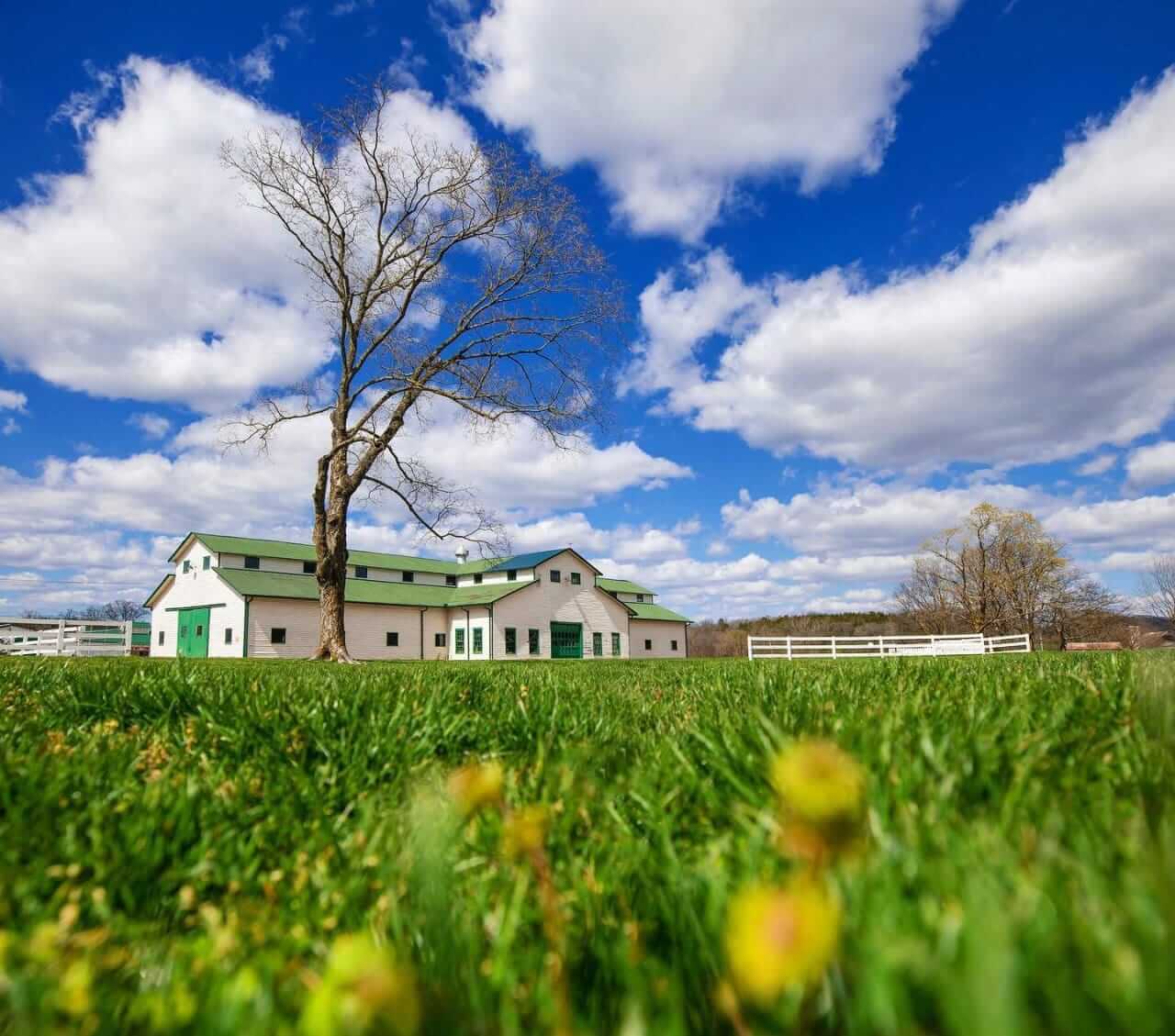 A large white barn with a green roof stands in a lush green field under a blue sky in Williamson County, Tennessee.