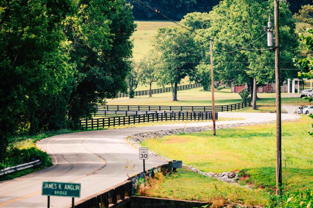 A road in Lieper's Fork, Franklin