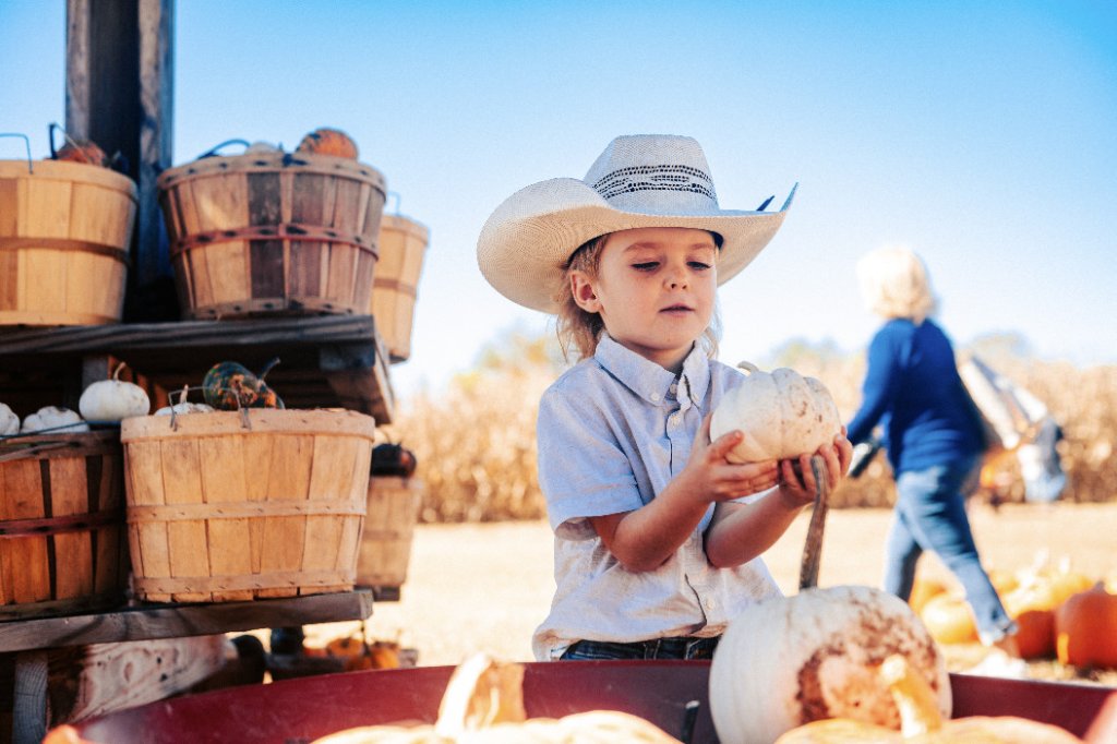 child picking pumpkins at farmstand