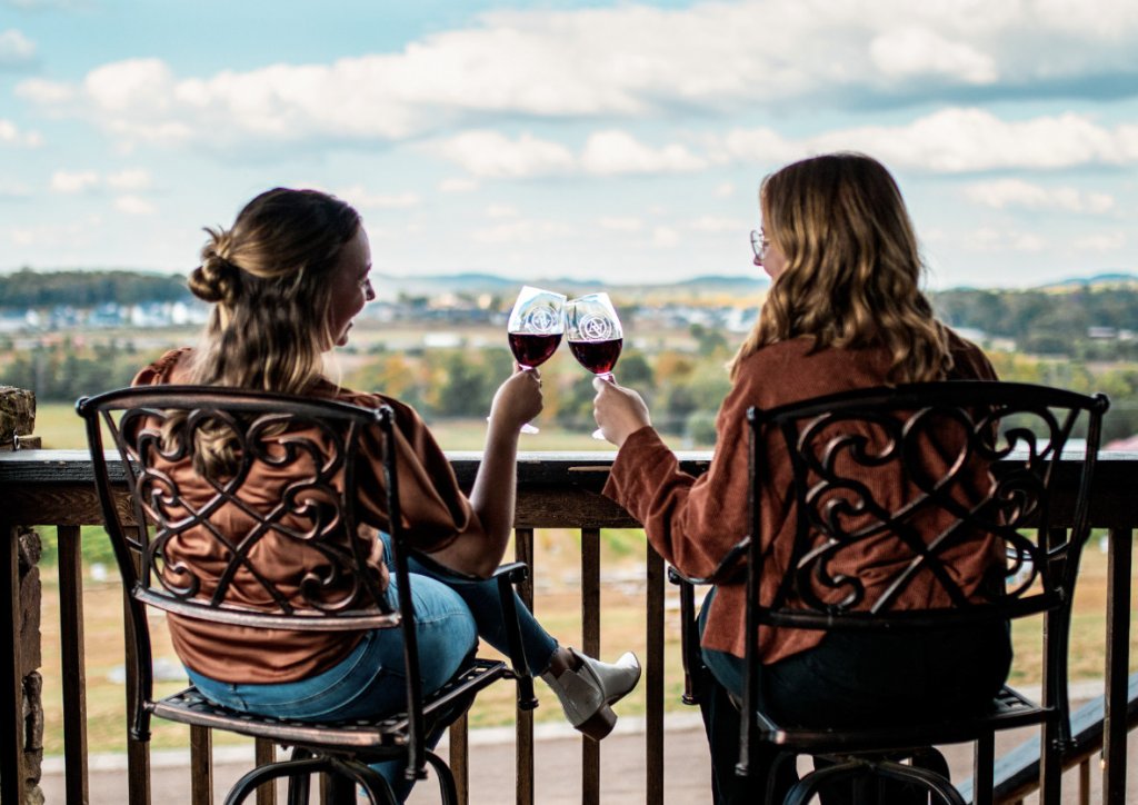 two women cheers with wine looking over vineyard landscape
