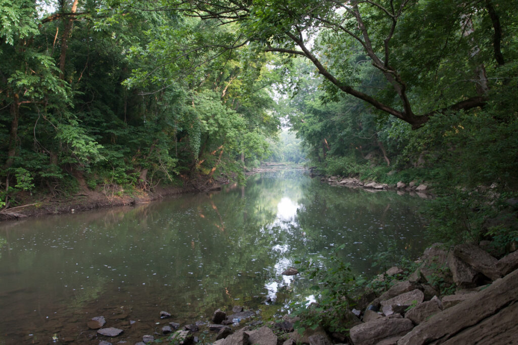 A serene river winds through a lush, green forest with rocks along the shore in Williamson County, Tennessee.