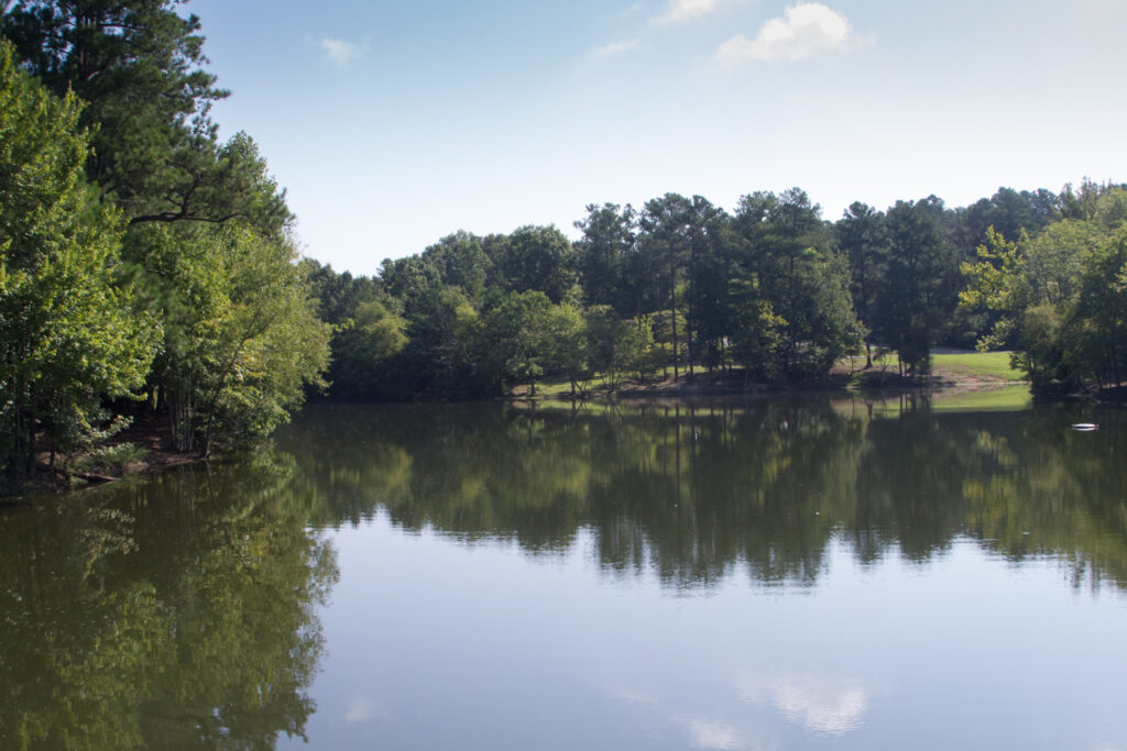 A serene lake surrounded by lush green trees and a clear blue sky in Williamson County, Tennessee.