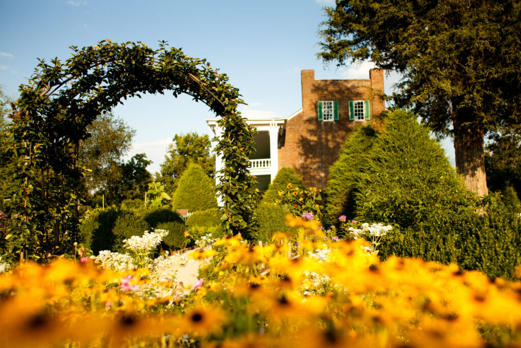 A lush garden with yellow flowers, an arched trellis, and a historic brick house in the background in Williamson County, Tennessee.