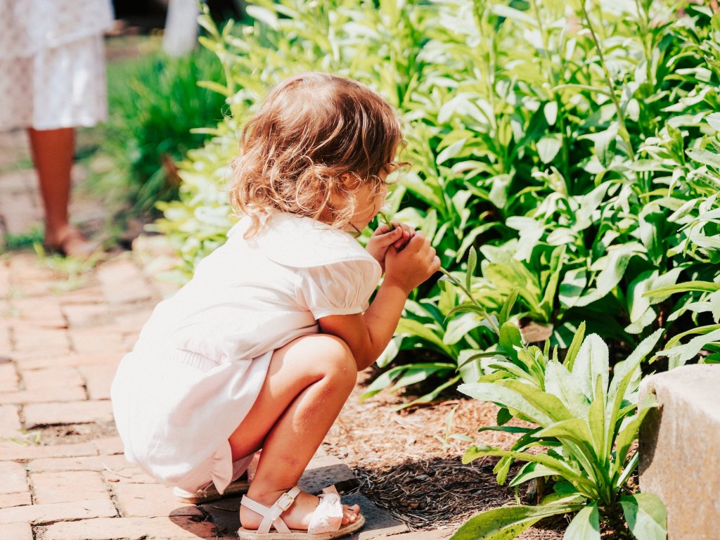 A young child in a white dress is crouching on a brick path, intently examining a green plant in Williamson County, Tennessee.