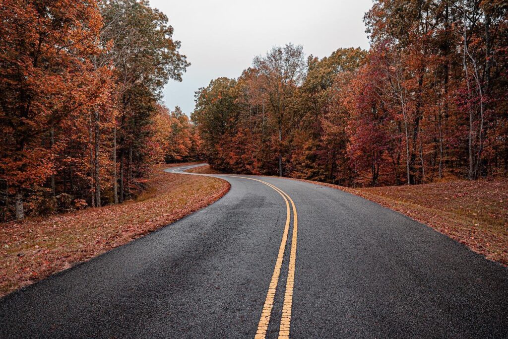 A winding two-lane road cuts through a vibrant autumn forest, flanked by colorful trees in Williamson County, Tennessee.