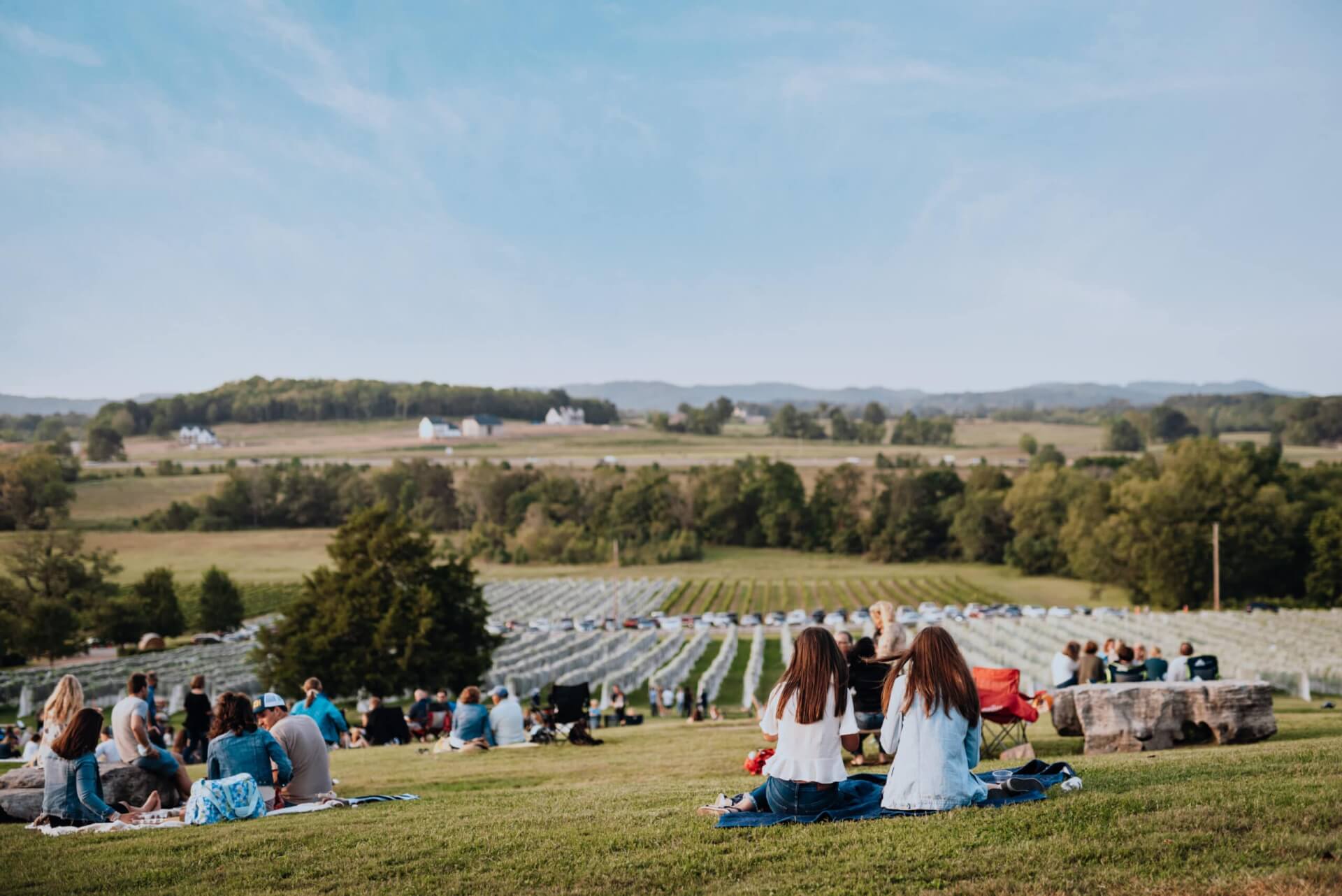 A large group of people enjoy a picnic on a grassy hill overlooking a vineyard and distant mountains in Williamson County, Tennessee.