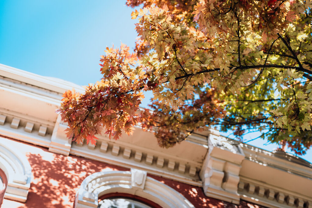 A tree with autumn leaves in shades of orange, yellow, and red hangs over a red brick building in Williamson County, Tennessee.