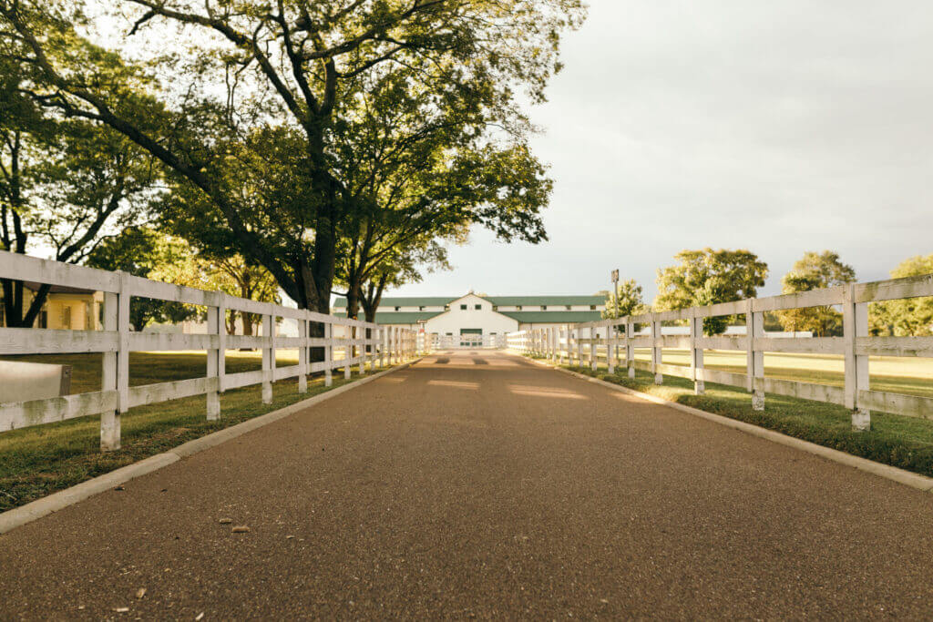 A serene, tree-lined driveway leads towards a large white barn with a green roof, surrounded by lush green fields and bordered by white wooden fences in Williamson County, Tennessee.