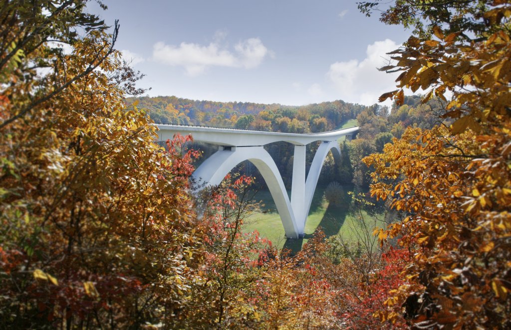 A white bridge arches gracefully over a valley, framed by autumn trees in vibrant colors in Williamson County, Tennessee.