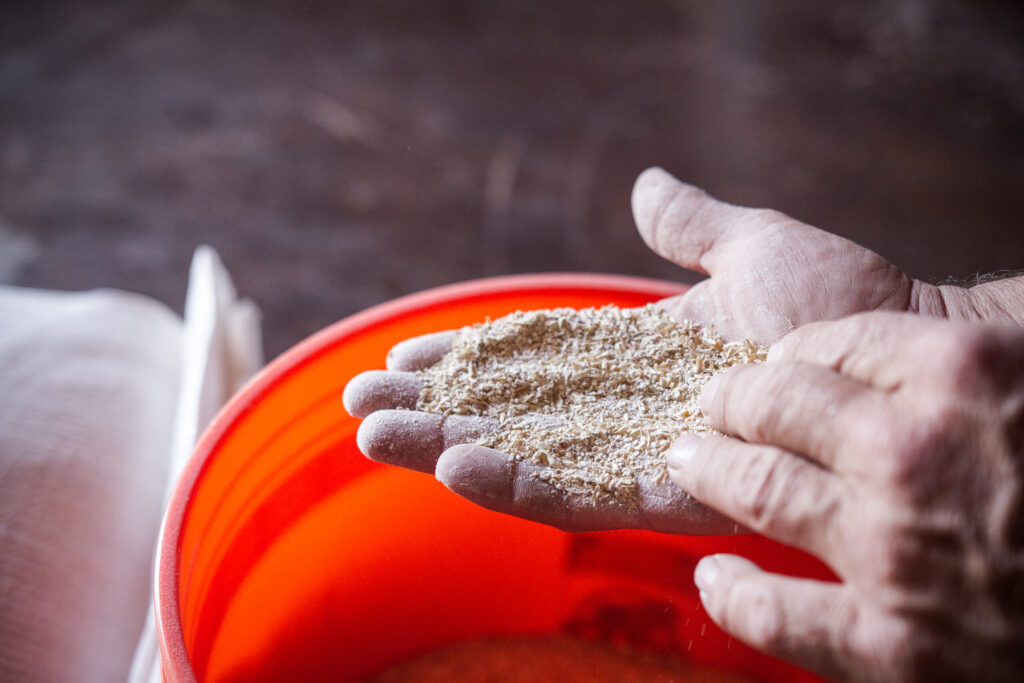 A hand holds a small amount of grain-like material over an orange bucket in Williamson County, Tennessee.