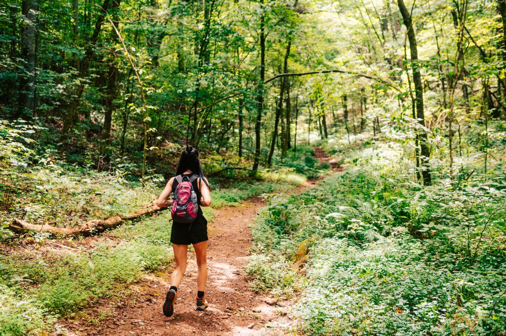 A hiker with a pink backpack follows a winding dirt path through a lush, green forest in Williamson County, Tennessee.