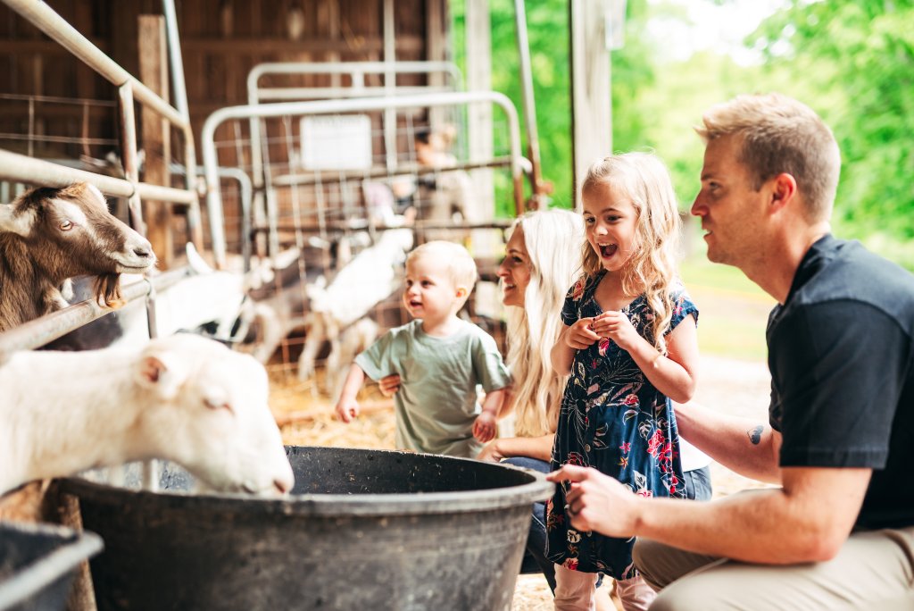 A family enjoys a day at a goat farm, feeding and interacting with the animals in a sunny, outdoor setting in Williamson County, Tennessee.