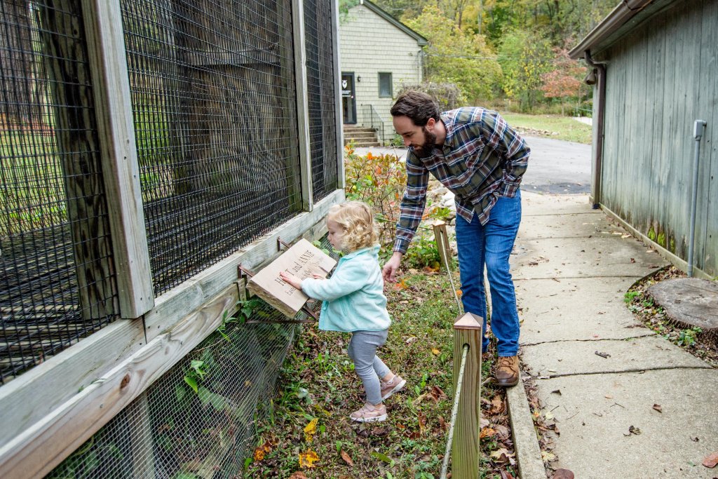 A man and a young girl are placing a wooden box into a wire mesh enclosure on a garden path in Williamson County, Tennessee.