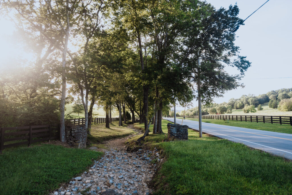 A winding gravel path through a lush, green forest beside a quiet country road in Williamson County, Tennessee.