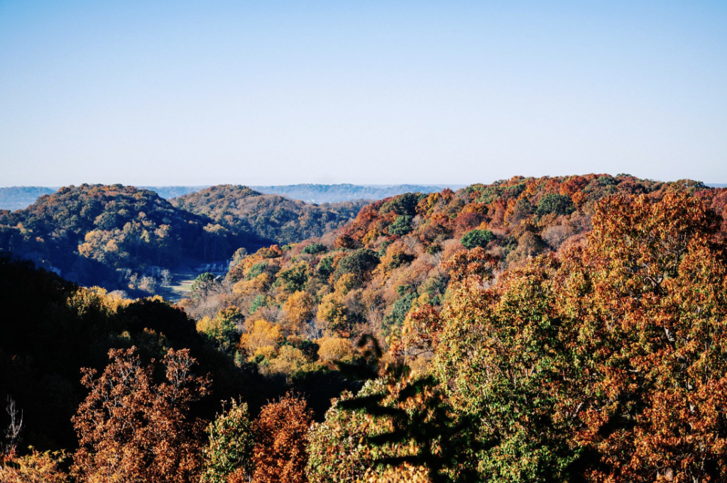 Vibrant autumn foliage blankets rolling hills under a clear blue sky in Williamson County, Tennessee.
