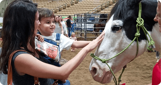 The Franklin Rodeo A woman and a child gently pet a black and white horse at a rodeo event in Williamson County, Tennessee.